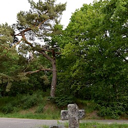 Sonderstempelkasten der "Harzer Wandernadel" am Steinkreuz