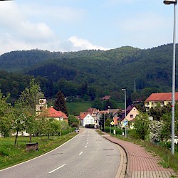 Sülzhayn gewinnt Naturpark-Preis 1999