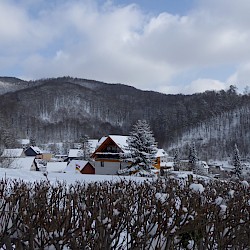 Seit vielen Jahren wieder Winter in Sülzhayn