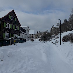 Seit vielen Jahren wieder Winter in Sülzhayn