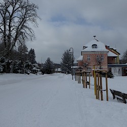 Seit vielen Jahren wieder Winter in Sülzhayn