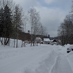 Seit vielen Jahren wieder Winter in Sülzhayn