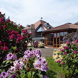 Weiter Warten auf das 25. Rhododendronfest im Kurpark