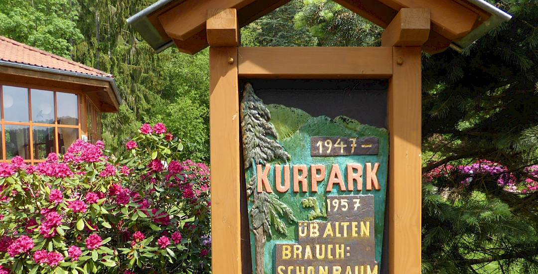 Entstehung des Kurparks/ Rhododendronparks in Sülzhayn