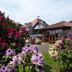 Entstehung des Kurparks/ Rhododendronparks in Sülzhayn
