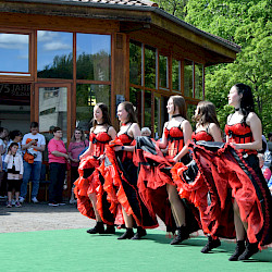 Zahlreiche Gäste und königlicher Glanz zum Rhododendronfest in Sülzhayn
