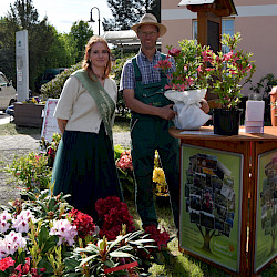 Zahlreiche Gäste und königlicher Glanz zum Rhododendronfest in Sülzhayn