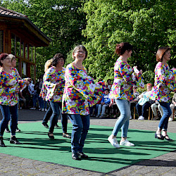 Zahlreiche Gäste und königlicher Glanz zum Rhododendronfest in Sülzhayn