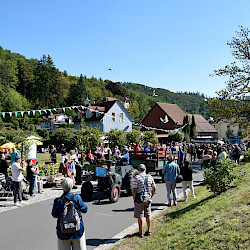 56 Taubenverein Luftbote 1495 Werna (Foto: J. Ließmann)