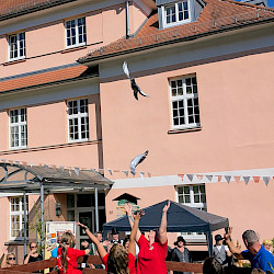 64 Taubenverein Luftbote 1495 Werna (Foto: J. Ließmann)